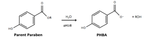 File:Paraben to PHBA hydrolysis.png