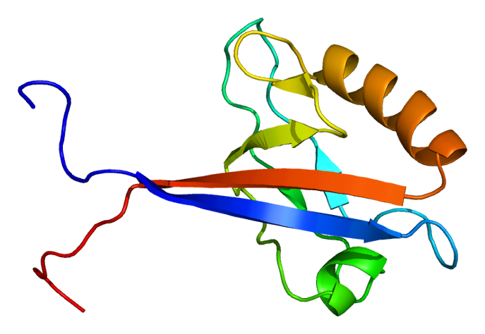 File:Protein MAGI2 PDB 1uep.png