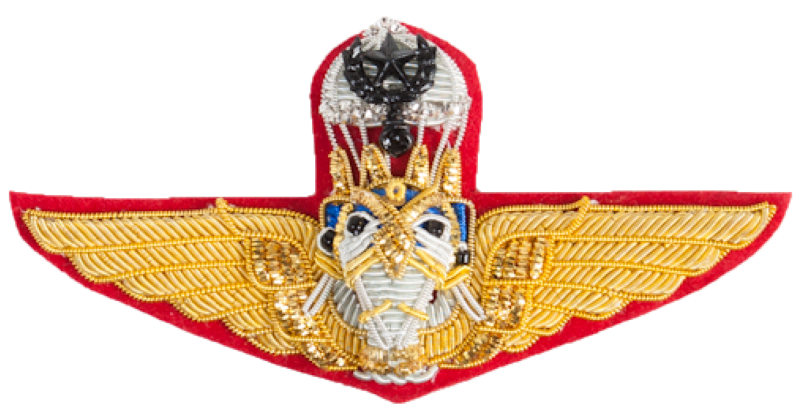 File:RTA Master Parachutist Badge.png