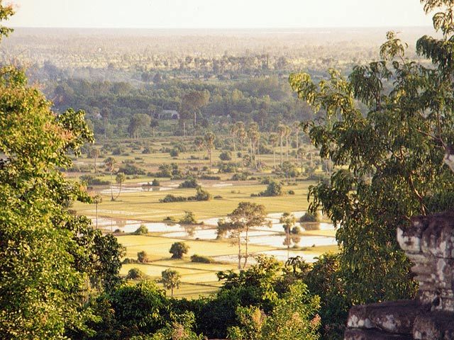 File:Reisfelder Kambodscha Angkor2001.jpg