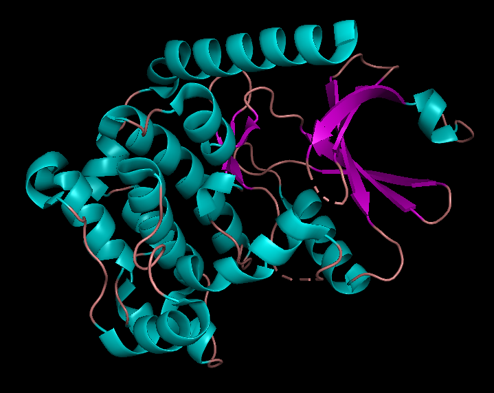 File:Structure of the human STK3 kinase domain.png