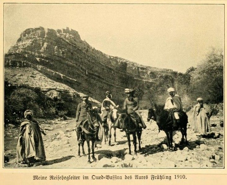 File:FROBENIUS(1911) Fig27 Frühling 1910, im Oued-Bassira.jpg