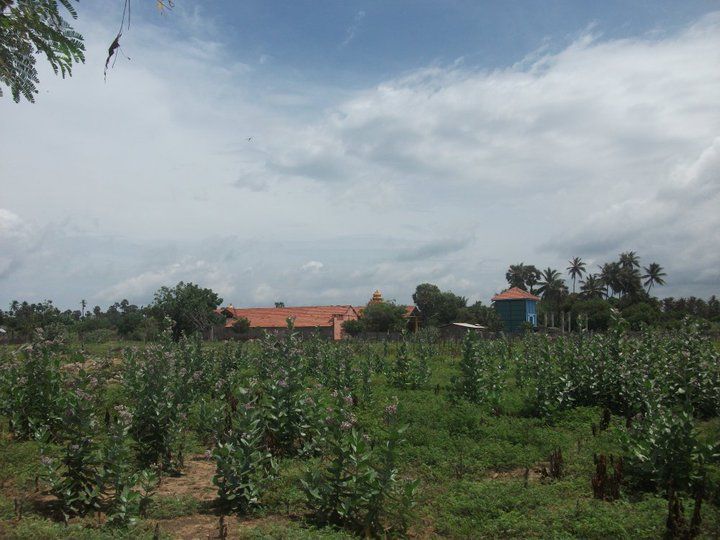 File:Mandaitivu landscape.jpg