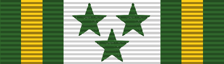 File:NDNG Distinguished Service Medal.png