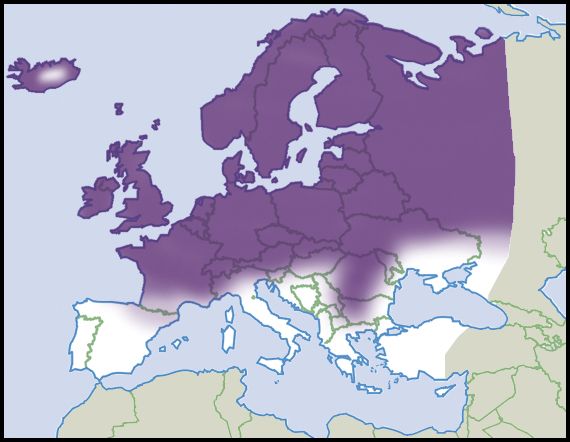 File:Nesovitrea-hammonis-map-eur-nm-moll.jpg