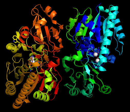 File:Nucleotide pyrophosphatase.png