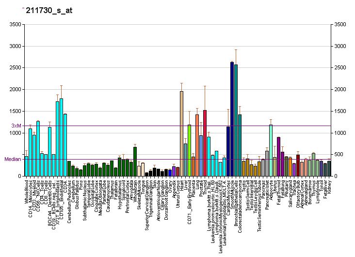 File:PBB GE POLR2L 211730 s at fs.png