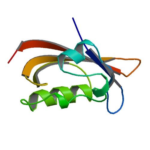 File:PBB Protein KCNH2 image.jpg