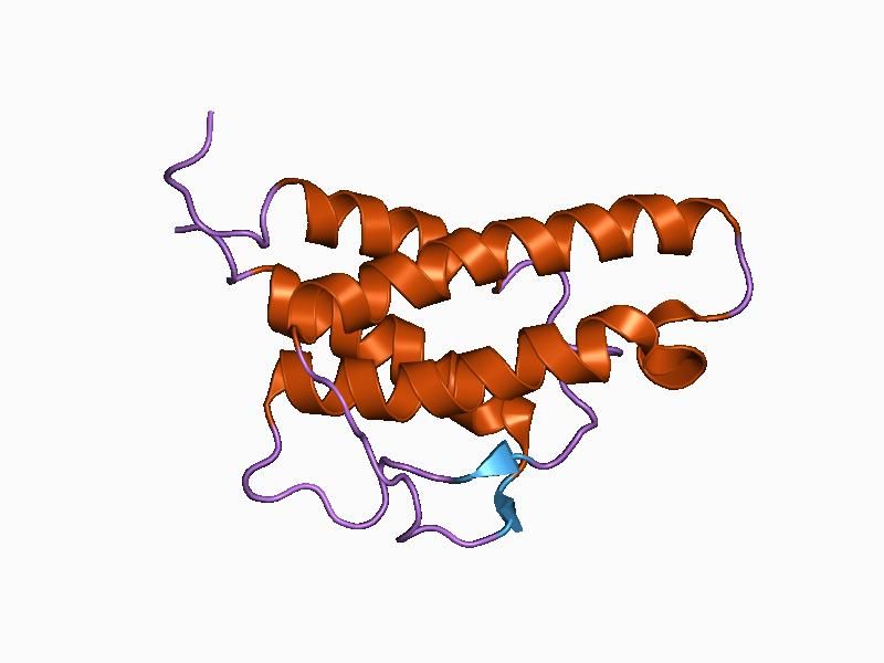 File:PDB 1bbn EBI.jpg