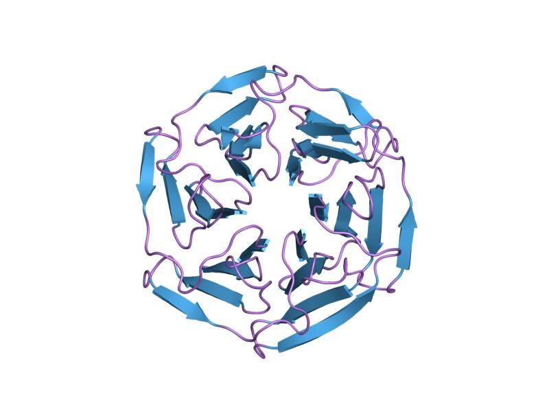 File:PDB 1u6d EBI.jpg