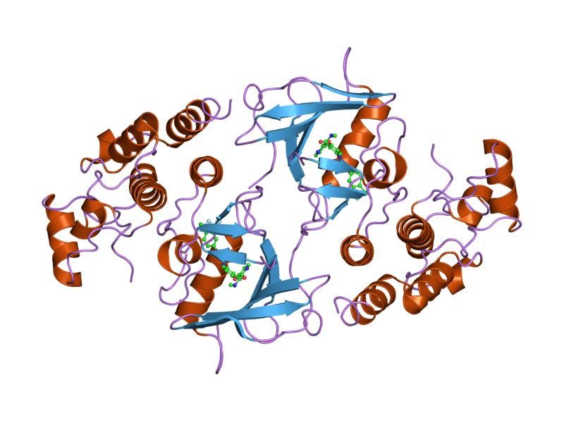 File:PDB 1uwj EBI.jpg