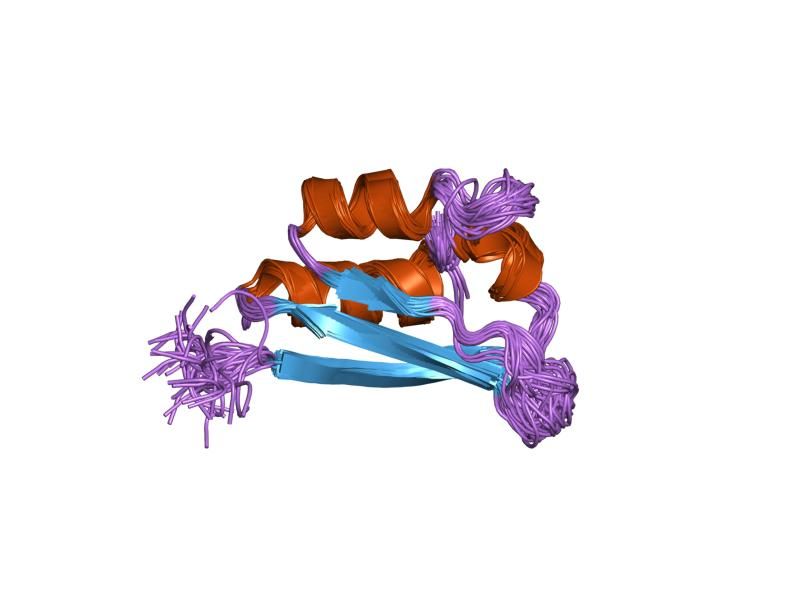 File:PDB 1vig EBI.jpg