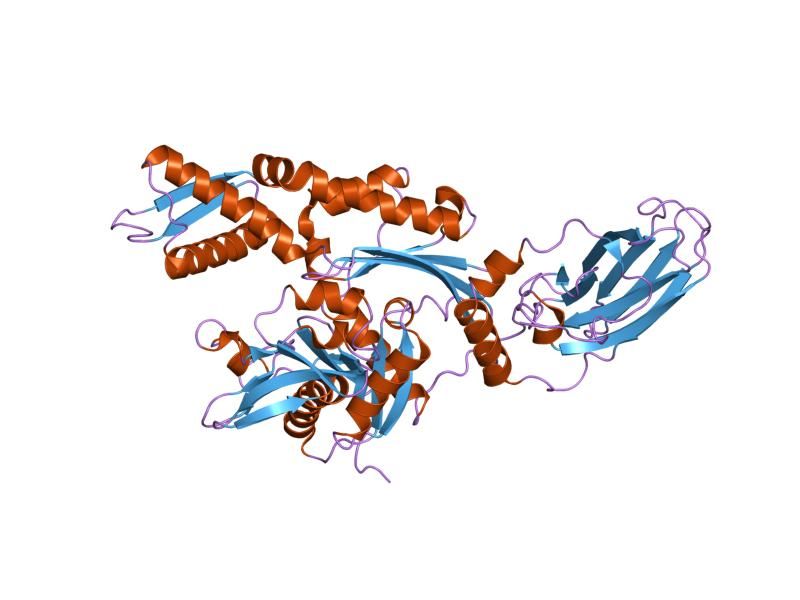 File:PDB 1yuw EBI.jpg