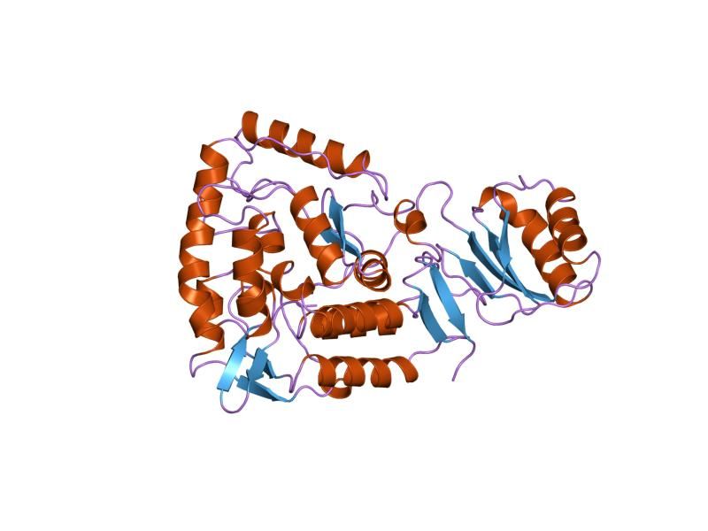 File:PDB 2phm EBI.jpg