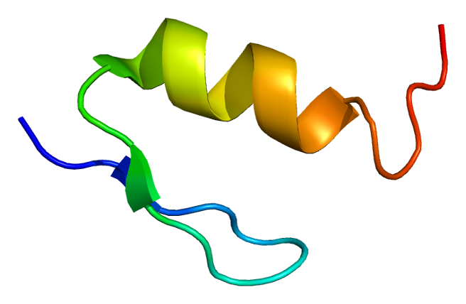 File:Protein WT1 PDB 1xf7.png