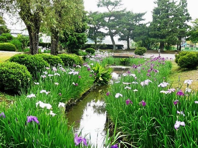 File:Takase iseki Park.jpg