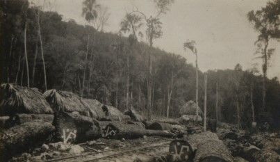 File:Vaca Tramway. VF logs (1).jpg