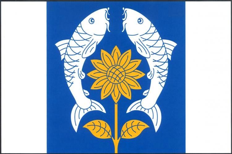 File:Záryby Flag.jpg