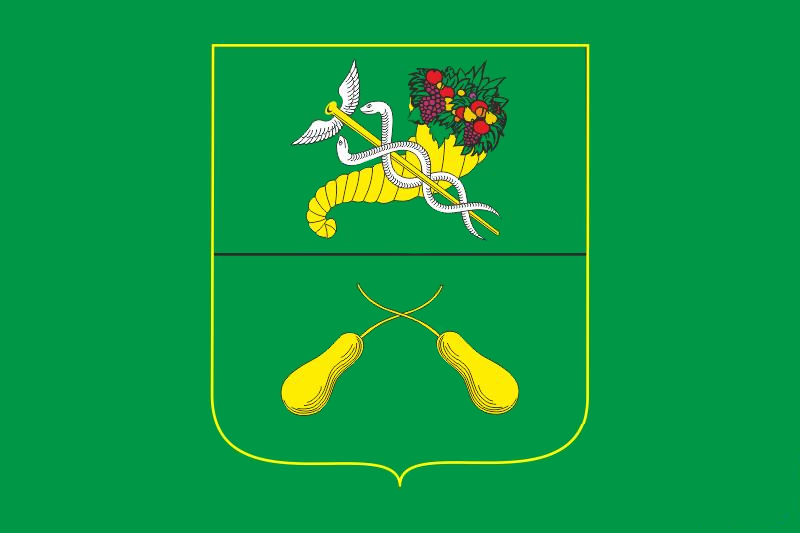 File:Zolochiv kharkiv prapor.png