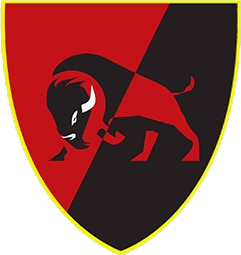 File:22nd Separate Mechanized Brigade Insignia.png