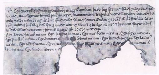 File:Charter of Demetrio Progoni.jpg