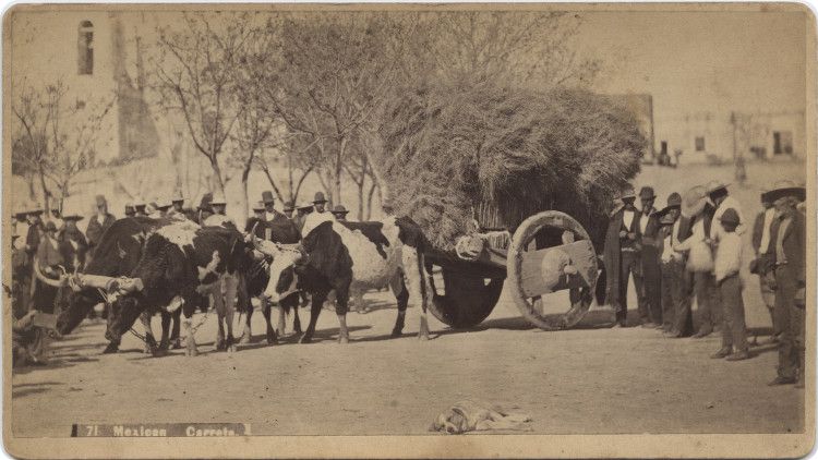 File:Mexican Carreta, c. 1885.jpg