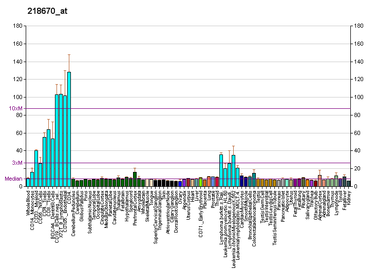 File:PBB GE PUS1 218670 at fs.png