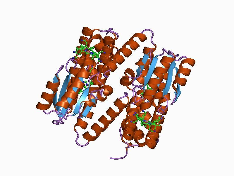 File:PDB 1bmt EBI.jpg