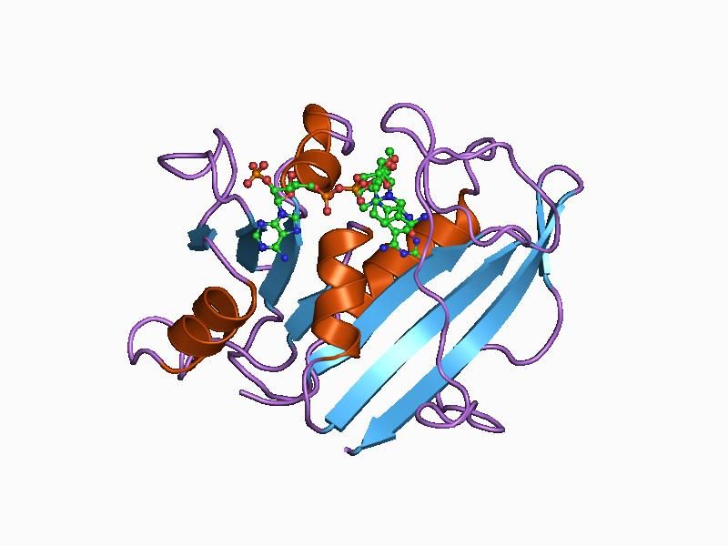 File:PDB 1boz EBI.jpg