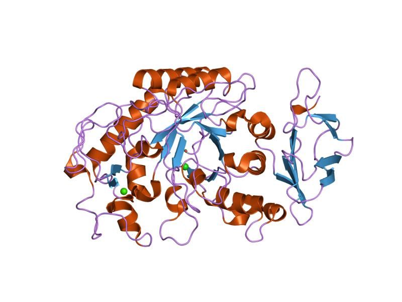 File:PDB 1jxk EBI.jpg