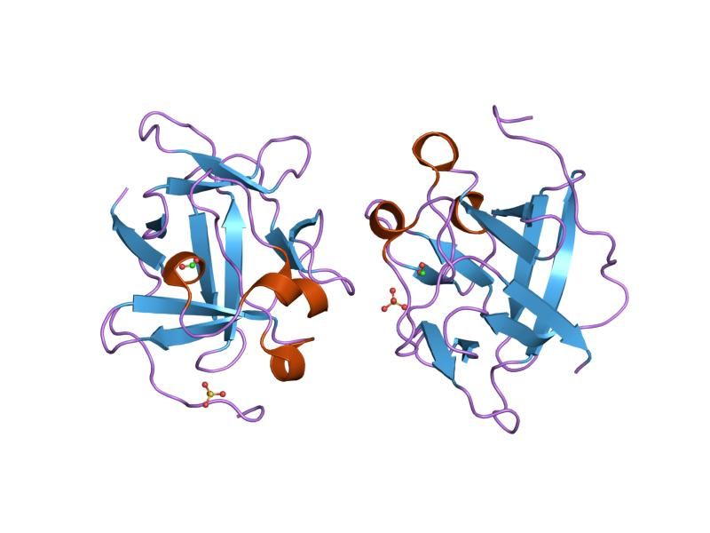 File:PDB 1m16 EBI.jpg