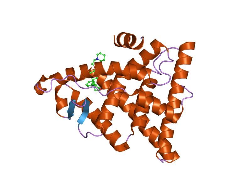 File:PDB 1uom EBI.jpg