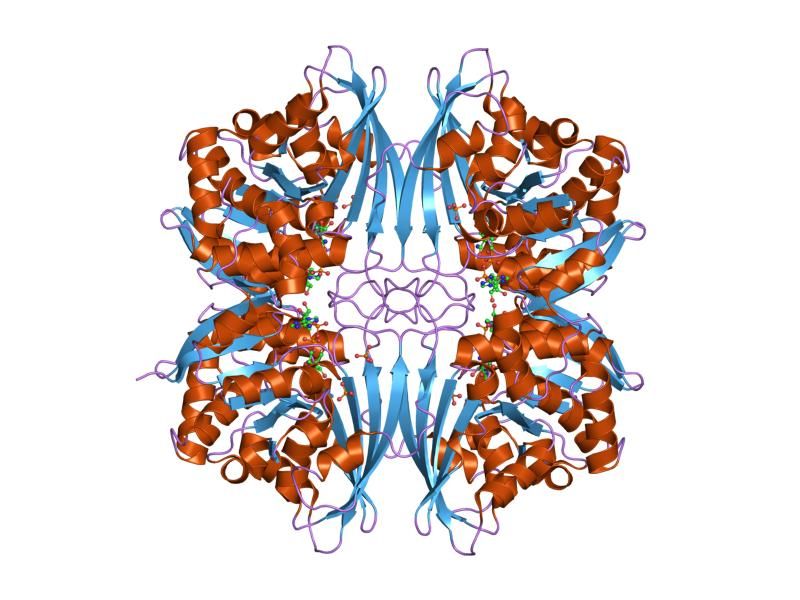 File:PDB 2czc EBI.jpg