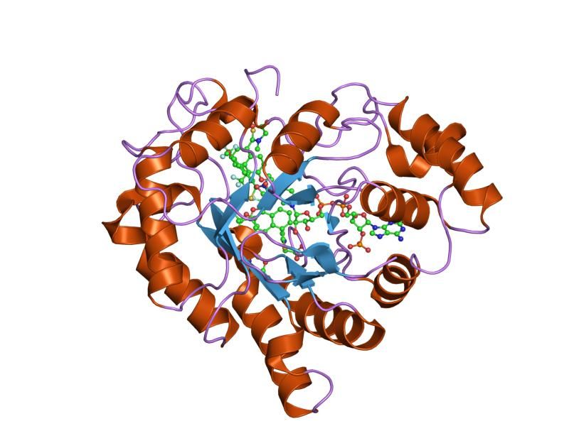 File:PDB 2fzb EBI.jpg