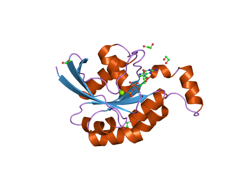 File:PDB 2gcn EBI.png