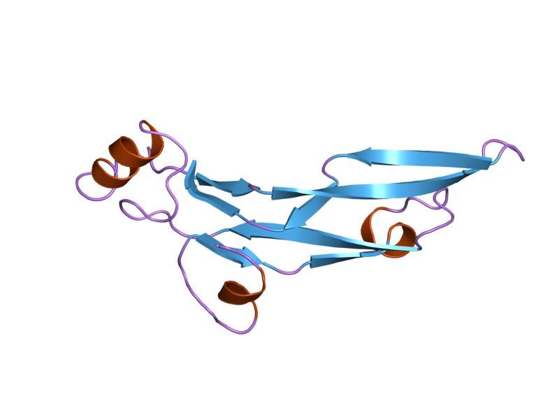 File:PDB 2tgi EBI.jpg