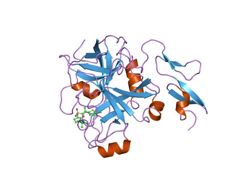 File:PDB 2uwo EBI.jpg