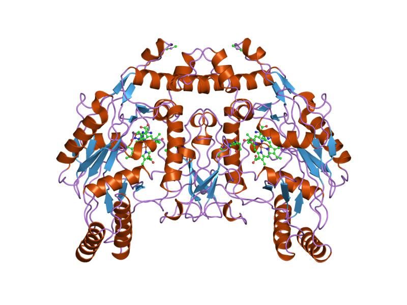 File:PDB 8nse EBI.jpg