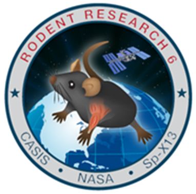 File:Rodent Research-6 Mission Patch.jpg