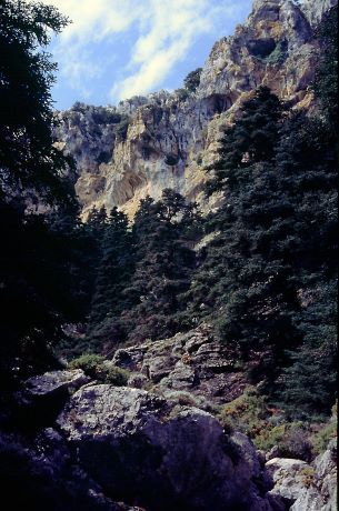 File:Sierra de las Nieves.jpg