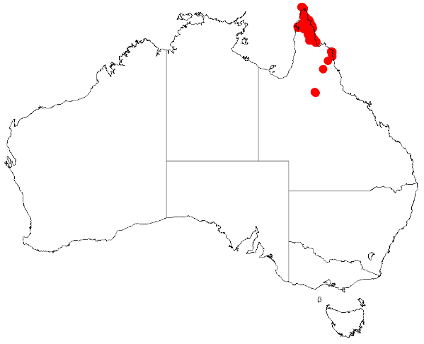 File:Acacia brassiiDistMap131.png