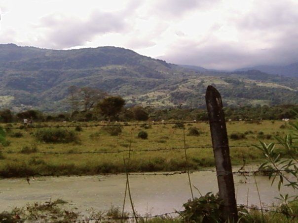 File:Acacias paisaje.jpg