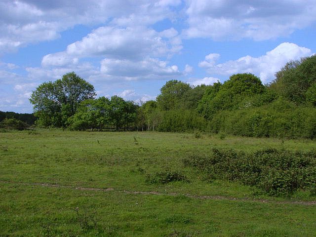 File:Backside Common (geograph 1881530).jpg