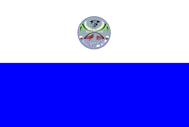 File:Bandeira Porteirão-GO.png