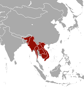 File:Burmese Ferret-badger area.png