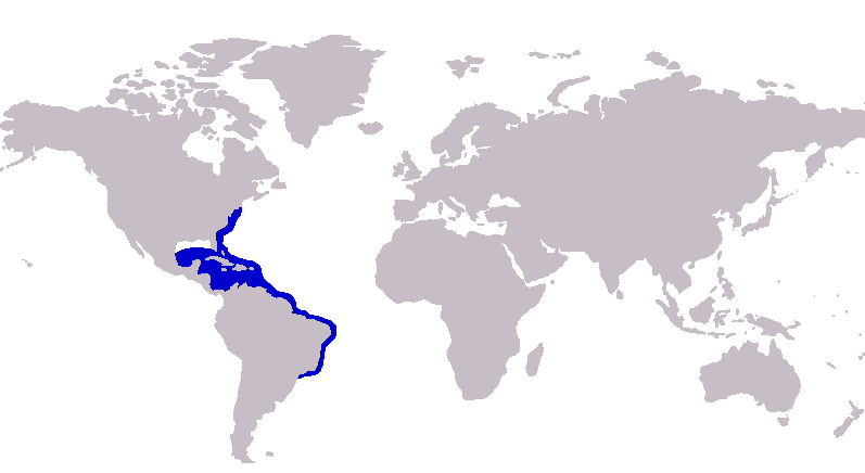 File:Carangoides ruber distribution.PNG