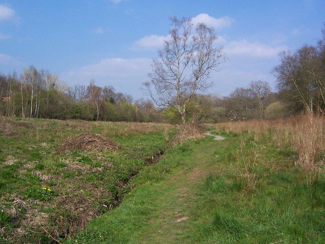 File:Hocombe mead - geograph.org.uk - 393229.jpg