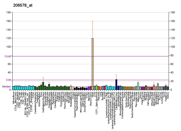 File:PBB GE NKX2-5 206578 at fs.png