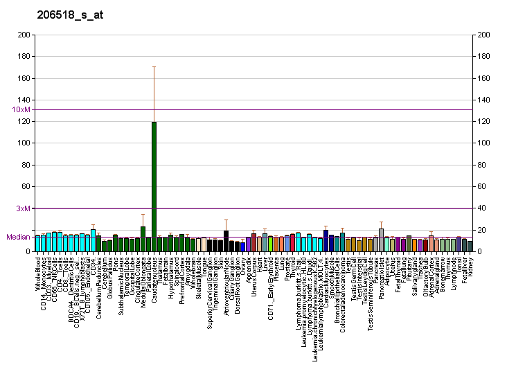 File:PBB GE RGS9 206518 s at fs.png