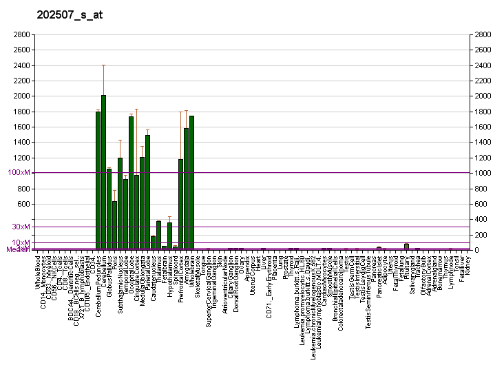 File:PBB GE SNAP25 202507 s at fs.png